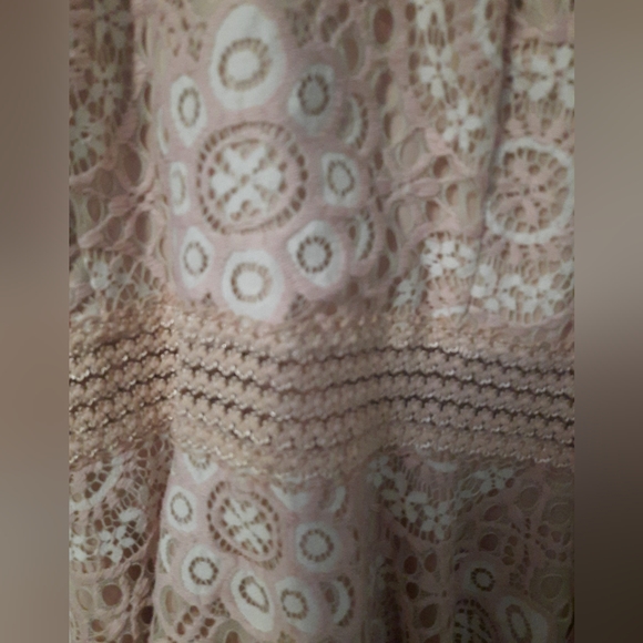 NWT City Triangles Womens Juniors Semi Formal Blush/Ivory Lace Cocktail Dress - Picture 4 of 5